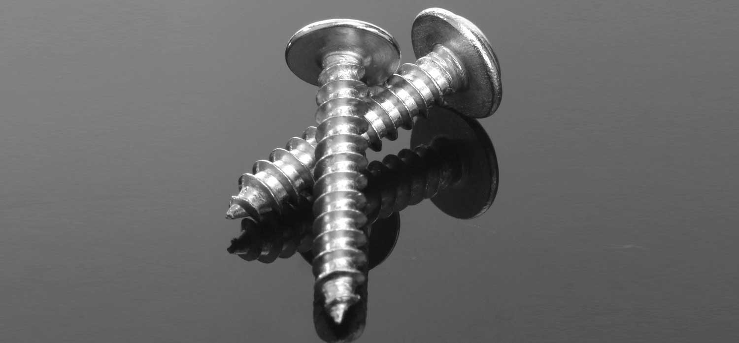 Stainless Steel 904L Screws